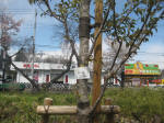2986_ks47s200324.jpg