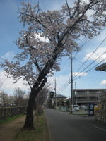 2987_810s200324.jpg