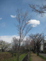 2989_ks5s200324.jpg