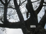 2994_801s200324.jpg