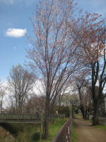 2995_ks4s200324.jpg