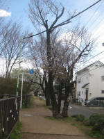 2998_796s200324.jpg