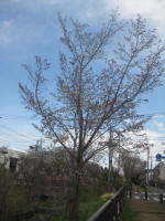 3002_ks1s200324.jpg