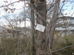 3004_ks1s200324.jpg