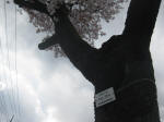3009_754s200324.jpg