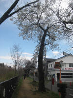 3010_748s200324.jpg