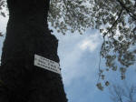 3011_748s200324.jpg"