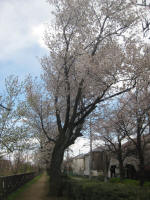 3014_718s200324.jpg
