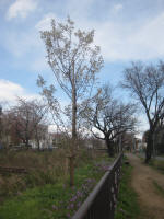 3018_20s200324.jpg