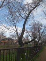 3021_677s200324.jpg