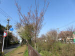 1601_s28s200326.jpg