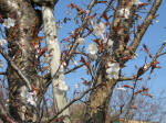 1602_s28s200326.jpg