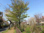 1604_s27s200326.jpg