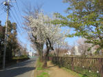 1606_649s200326.jpg