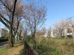 1610_s26s200326.jpg