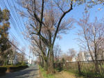 1613_650s200326.jpg