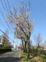1623_652s200326.jpg