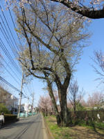 1629_653s200326.jpg