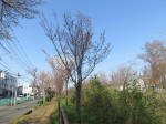 1632_s23s200326.jpg
