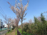 1635_s22s200326.jpg