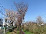 1638_s11s200326.jpg
