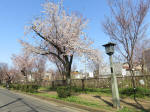 1641_656s200326.jpg