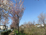 1644_s10s200326.jpg