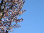 1645_s10s200326.jpg