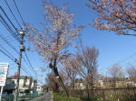 1647_657s200326.jpg