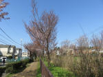1650_s9s200326.jpg