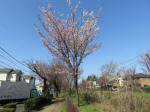 1653_s8s200326.jpg