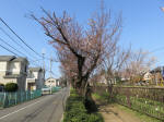 1656_659s200326.jpg