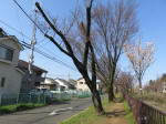 1662_662s200326.jpg