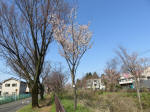 1665_s4s200326.jpg