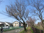 1668_664s200326.jpg
