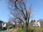 1671_668s200326.jpg