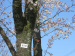 1673_668s200326.jpg