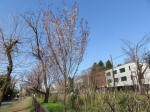 1674_s2s200326.jpg