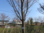 1676_s2s200326.jpg