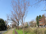 1680_s1s200326.jpg