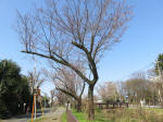 1683_680s200326.jpg