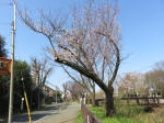 1686_681s200326.jpg
