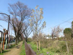 1692_s35s200326.jpg