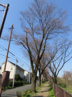 1695_696s200326.jpg