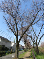 1698_698s200326.jpg