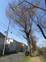 1701_701s200326.jpg