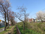 1704_702s200326.jpg