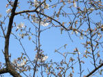 1705_702s200326.jpg