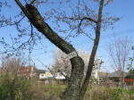 1706_702s200326.jpg"