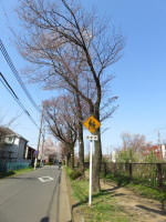 1708_703s200326.jpg